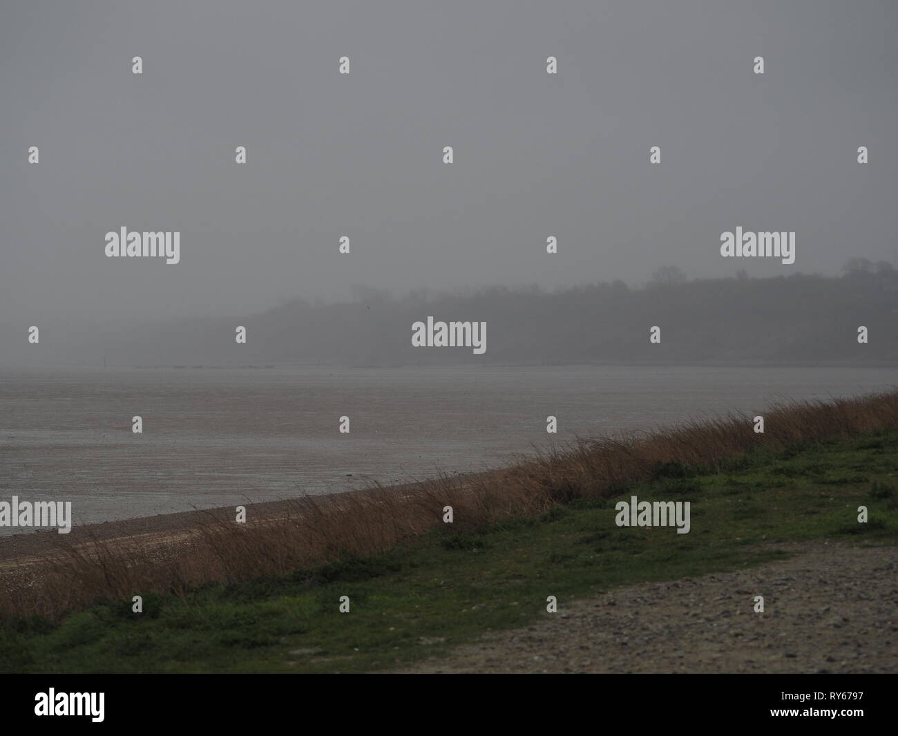 Münster am Meer, Kent, Großbritannien. 12. März, 2019. UK Wetter: Sturm Gareth eine Band von schweren Regen und starke südliche Winde an der Küste in Münster am Meer in Kent heute gekauft. Münster Klippen kaum sichtbar durch den starken Regen. Credit: James Bell/Alamy leben Nachrichten Stockfoto