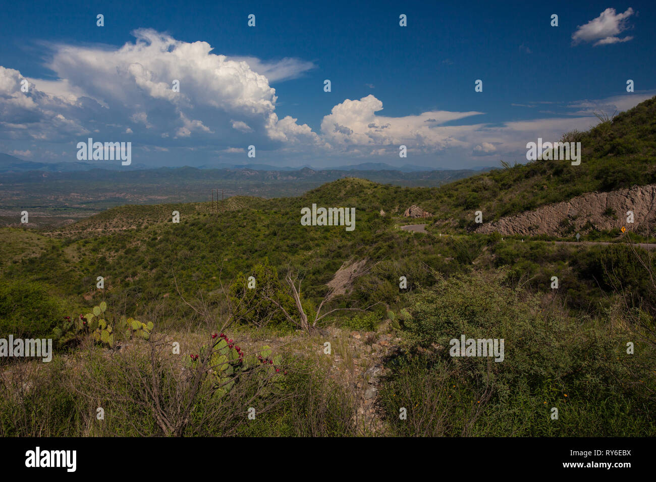 Sierra Cebadehuachi, Mpo. Bacoachi, Sonora, Mexiko Stockfoto