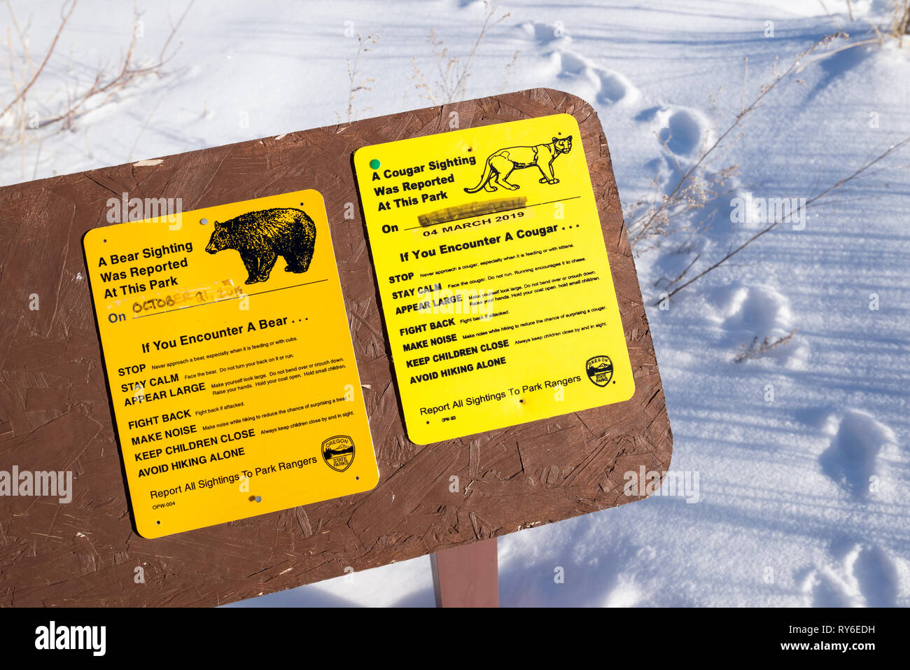 Bär und Mountain Lion Sichtung Zeichen, Iwetemlaykin, Weltkulturerbe, Oregon. Stockfoto