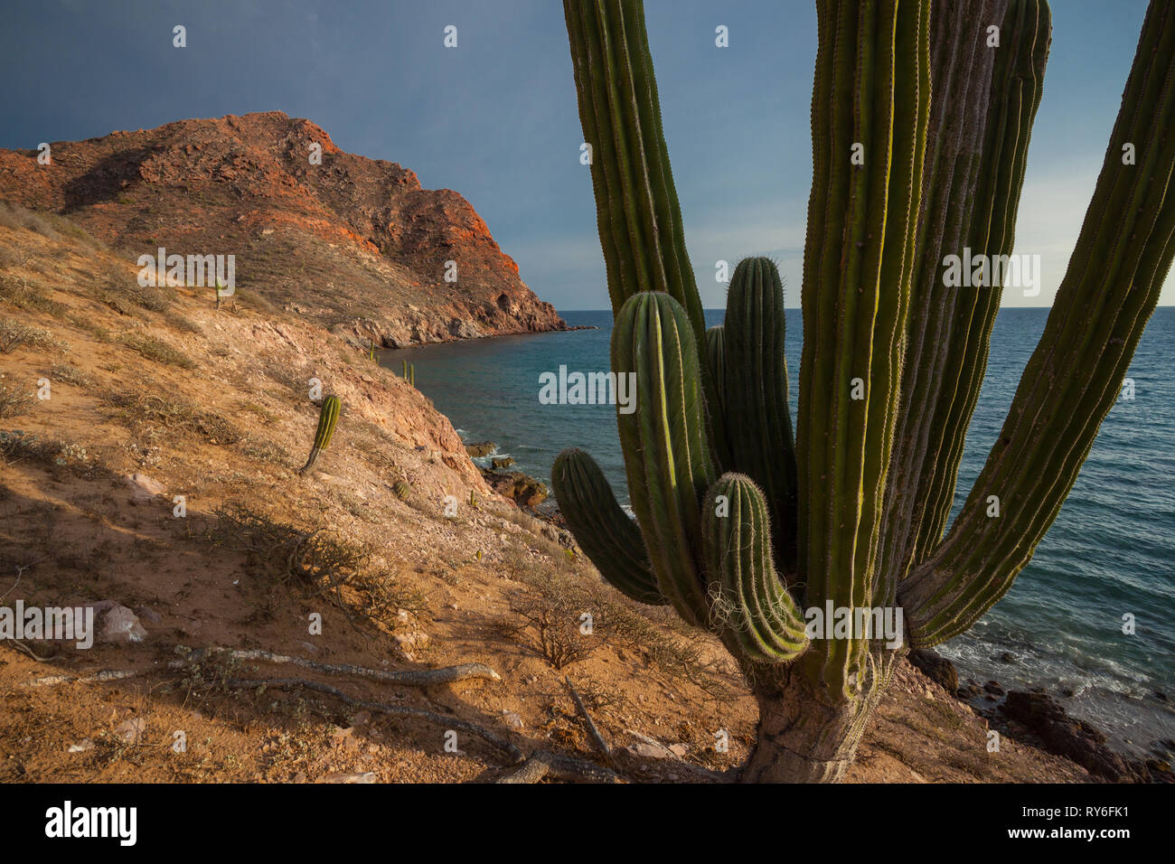 Playa Las Cadenas, Mpo. Hermosillo, Sonora, Mexiko Stockfoto