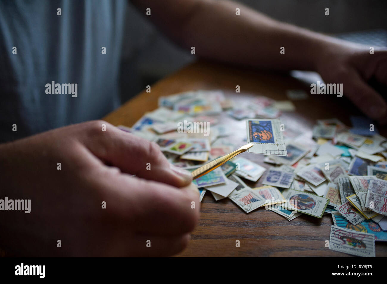 Mittelteil der Mann mit Briefmarke mit einer Pinzette am Tisch zu Hause Stockfoto