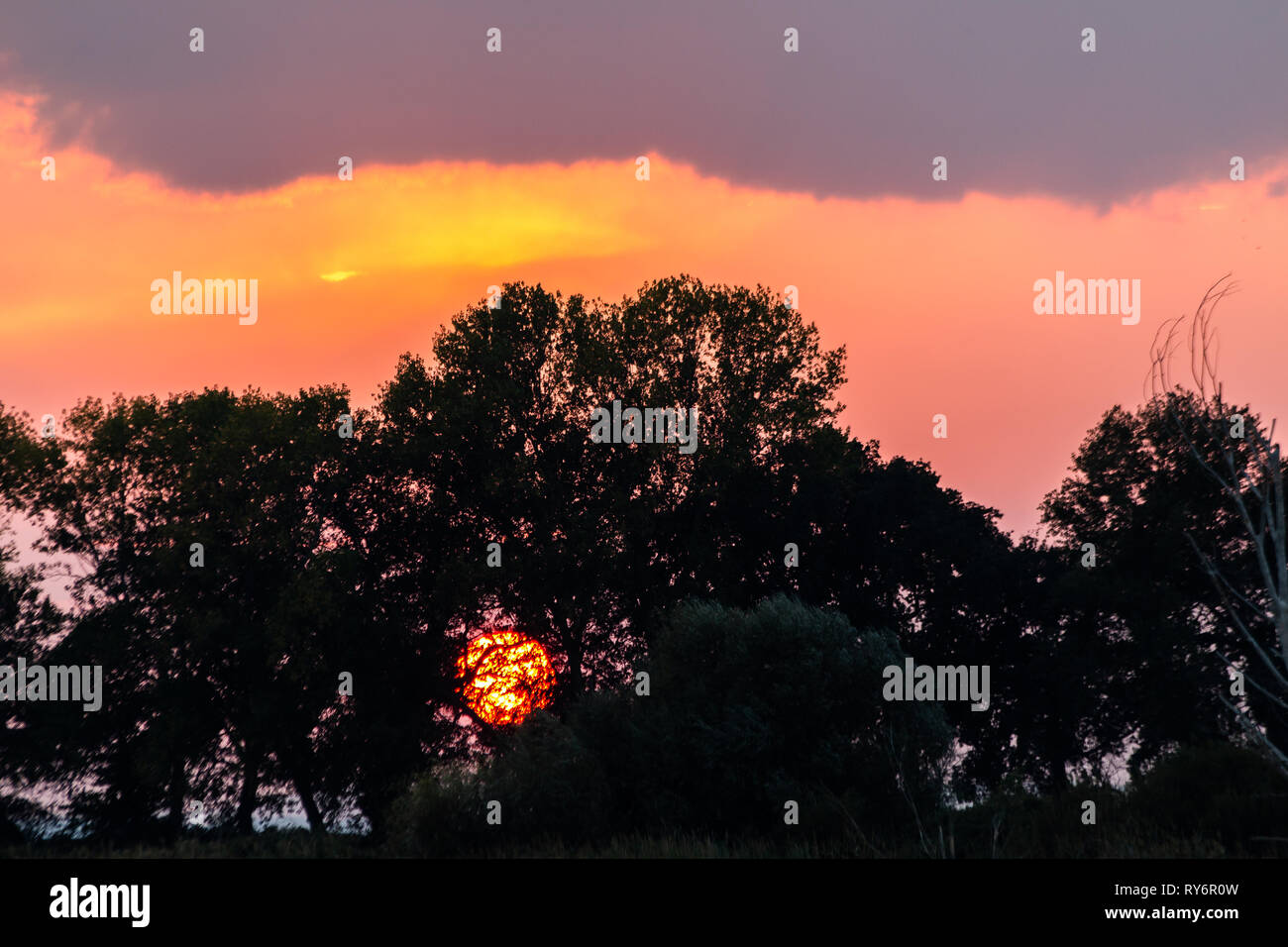 Sonnenuntergang mit Sonne unten kommen einige Bäume Silhouette und ein schön gefärbten Himmel Stockfoto