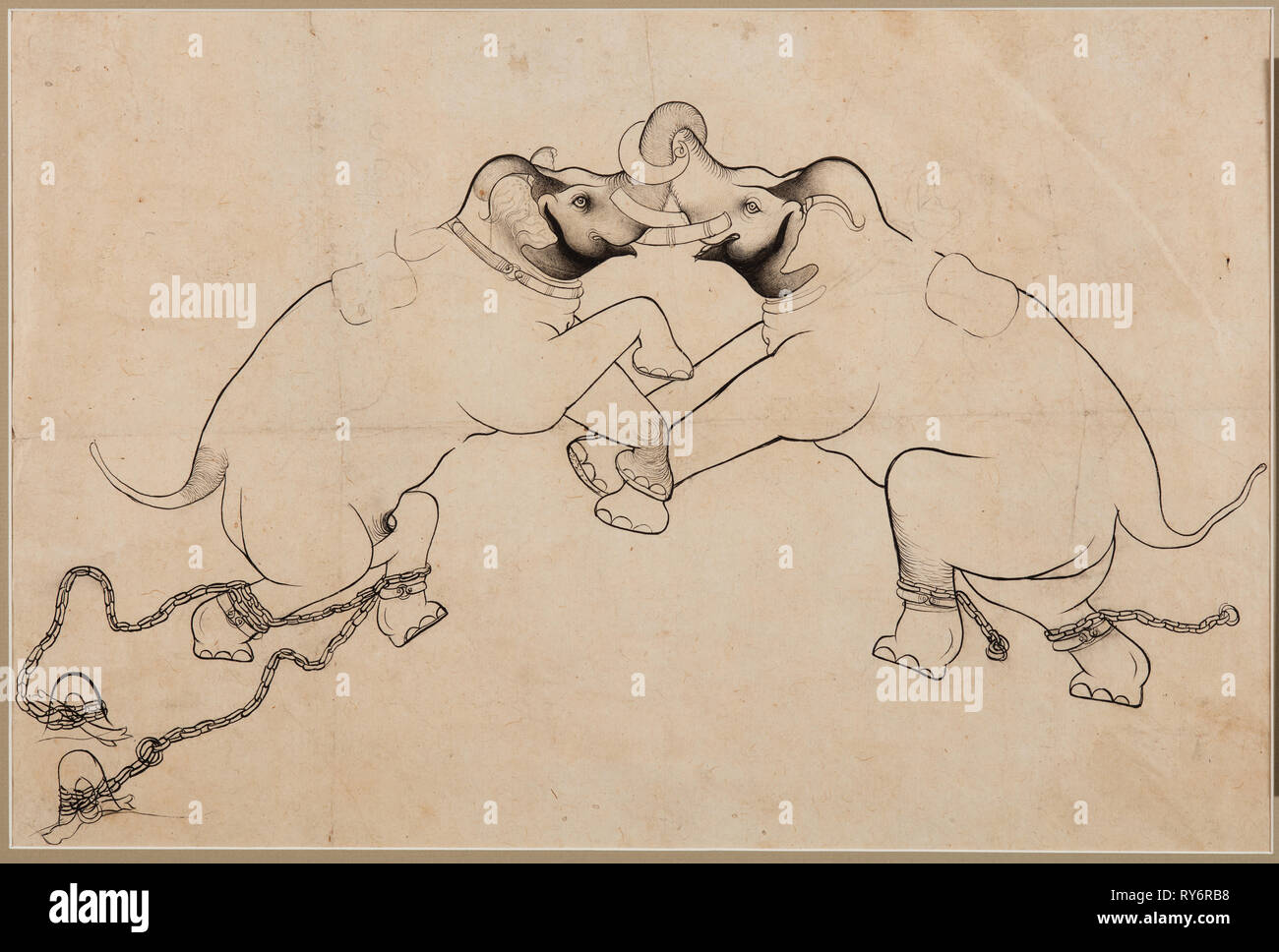 Zwei Elefanten im Kampf, frühen 1700er. Nordwestliche Indien, Rajasthan, Kota. Seite: 35,6 x 53,4 cm (14 x 21 in Stockfoto