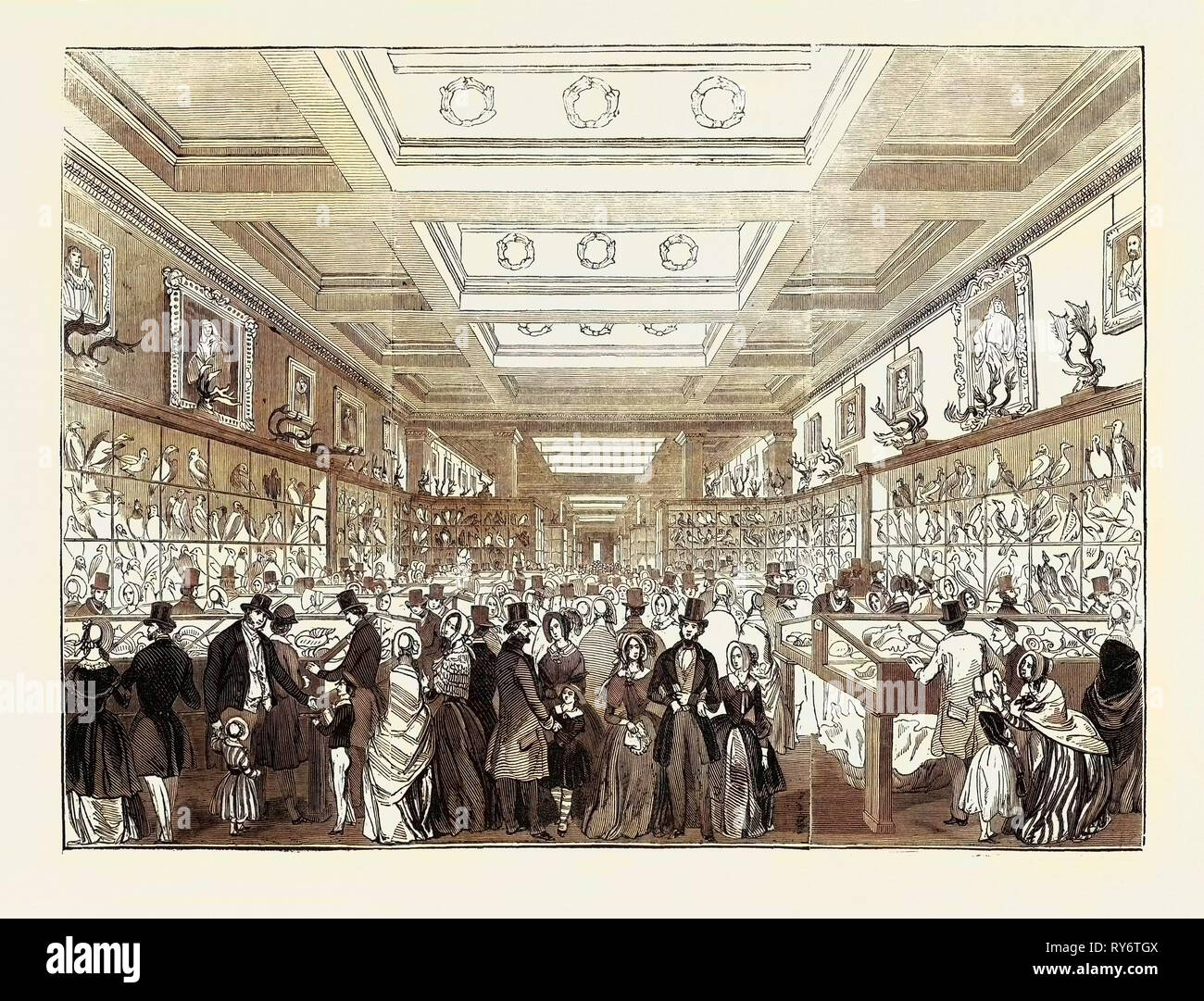 Ostermontag, die Große Zoologische Gallery, das British Museum Stockfoto