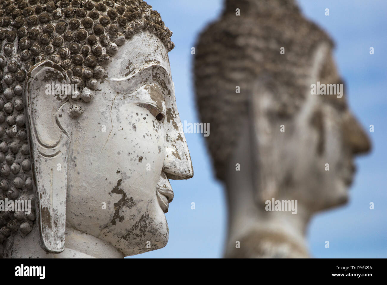 Buddha Köpfe auf blauen Himmel Hintergrund in Ayutthaya Stockfoto