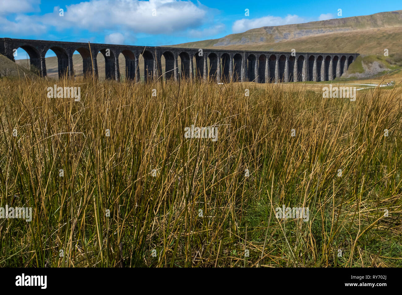 Ein entfernter Schuß durch die wiese gras der geschwungenen Majestic Ribblehead Viadukt steht hoch über dem Ribble Valley, Yorkshire, England, die an carlise Bahn Regeln gegen einen strahlend blauen Himmel Stockfoto