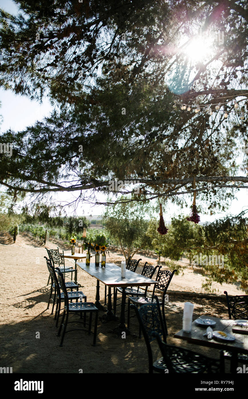 Leere Stühle und Tisch arrangiert auf Feld unter Filialen in sonnigen Tag Stockfoto