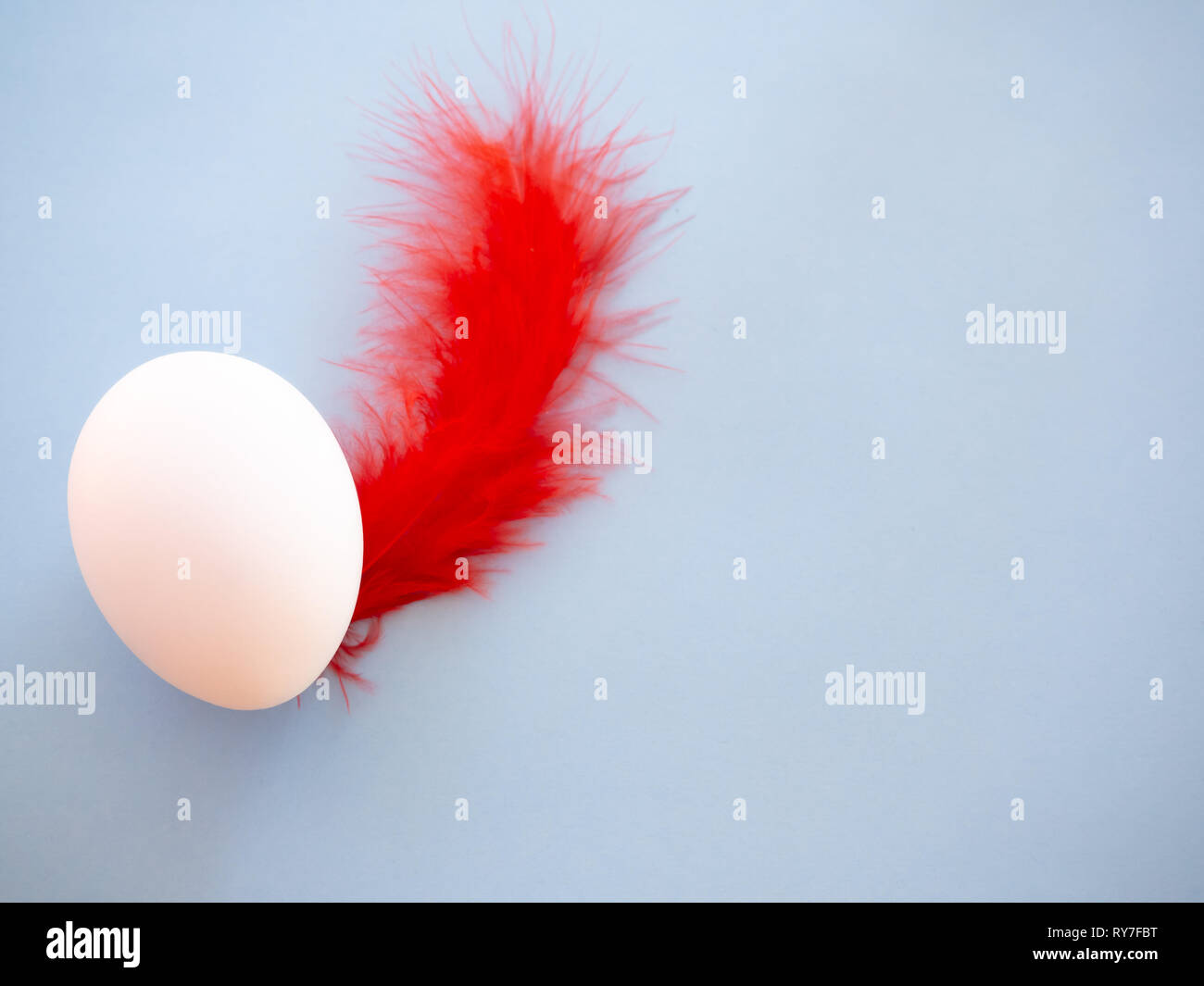 Ein Ei mit roten Feder auf einem Pastell-blaue Hintergrund Stockfoto