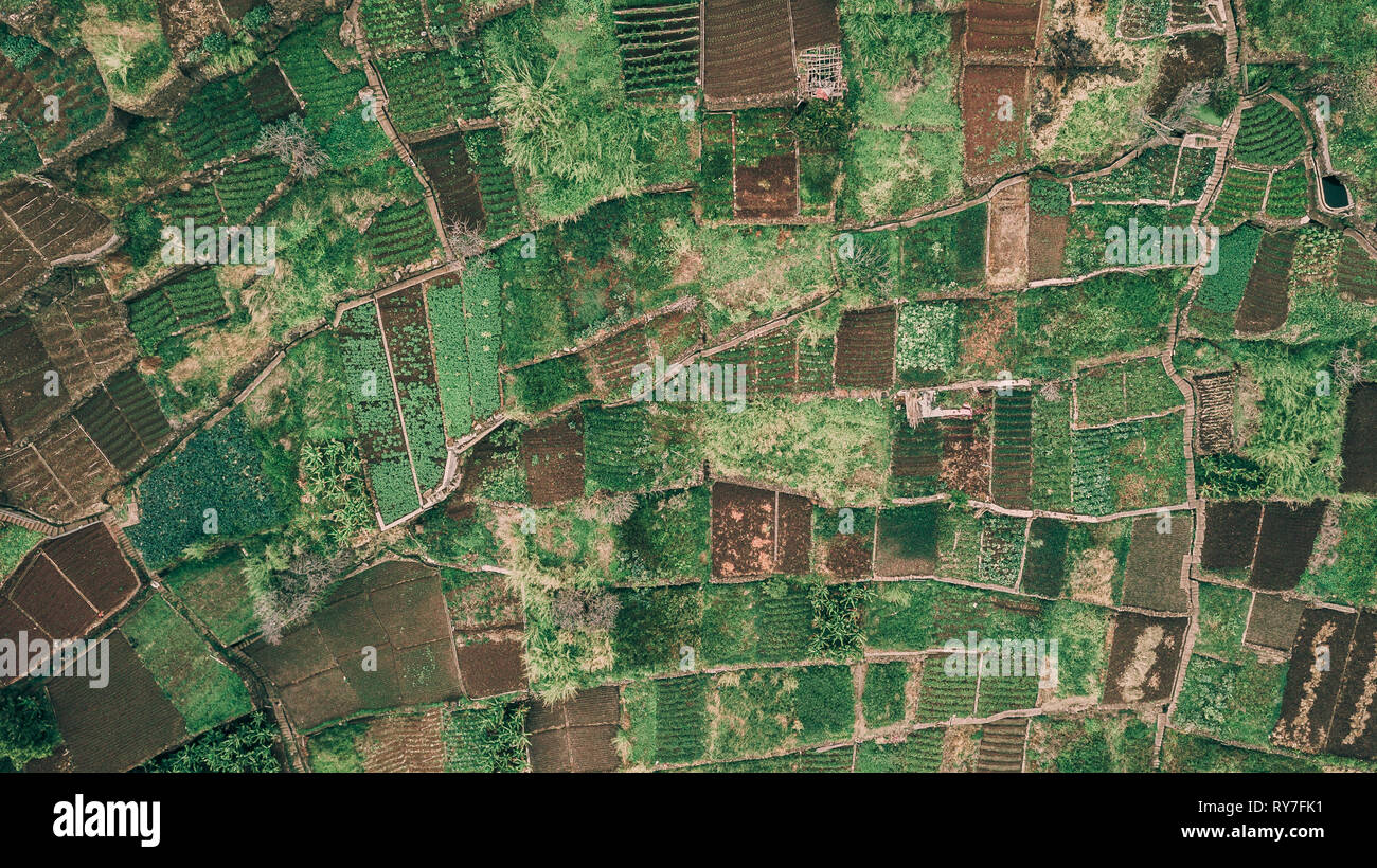 Ansicht von oben von drohne der ländlichen Landwirtschaft Plantage Felder in "CAMPANARIO", auf der Insel Madeira, Portugal. Stockfoto