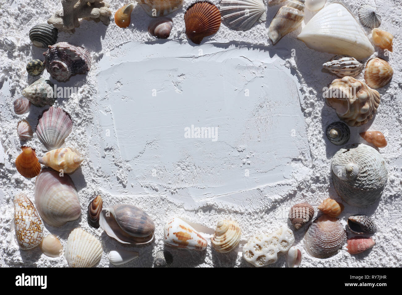 Schalen Hintergrund. Ein Frame von Muscheln auf weißem Sand Stockfoto