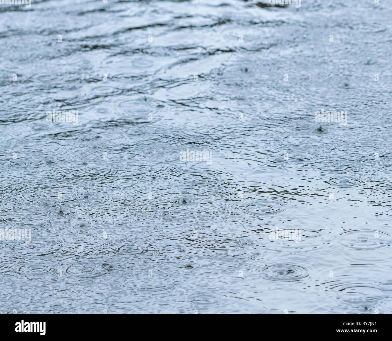 Die Regentropfen fallen auf den Wassern des Flusses in Fowey Fowey während Sturm Gareth. Leicht blaue Tönung hinzugefügt, sonst tristen grau Hochwasser. Stockfoto