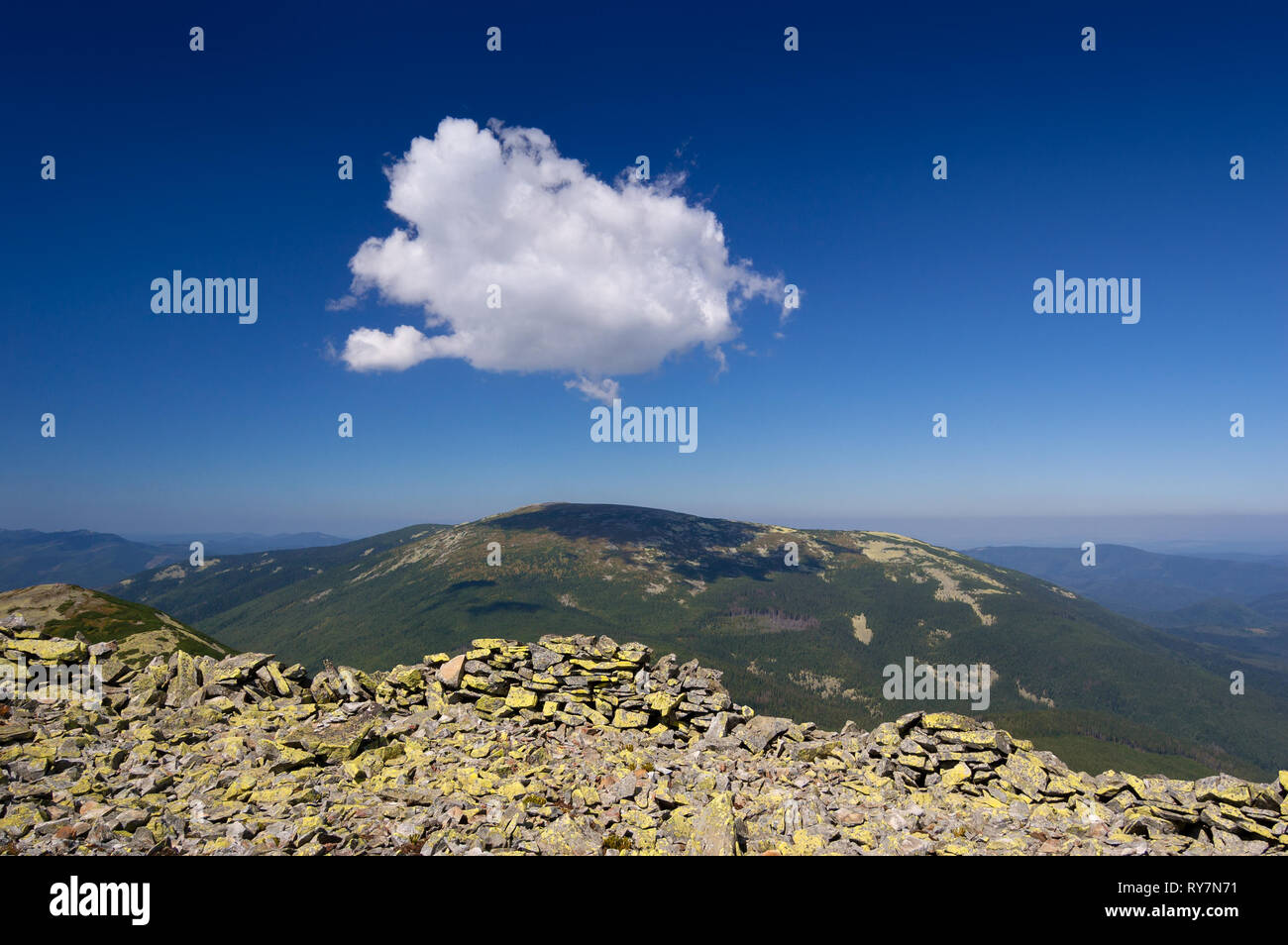 Cumulus Cloud in den blauen Himmel über der Bergkette. Sommer Landschaft bei sonnigem Wetter. Karpaten, Ukraine, Europa Stockfoto
