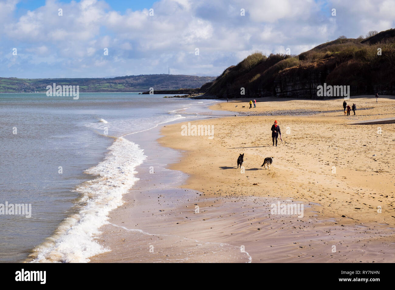 Hund Spaziergänger auf dem ruhigen Sandstrand im Winter Sonnenschein bei Flut. Benllech, Isle of Anglesey, North Wales, UK, Großbritannien Stockfoto