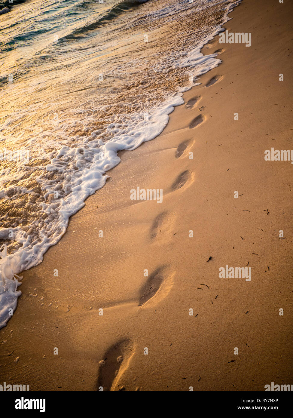 Fußabdrücke auf sandigen tropischen Strand, Governors Harbour, Eleuthera, Bahamas, in der Karibik. Stockfoto
