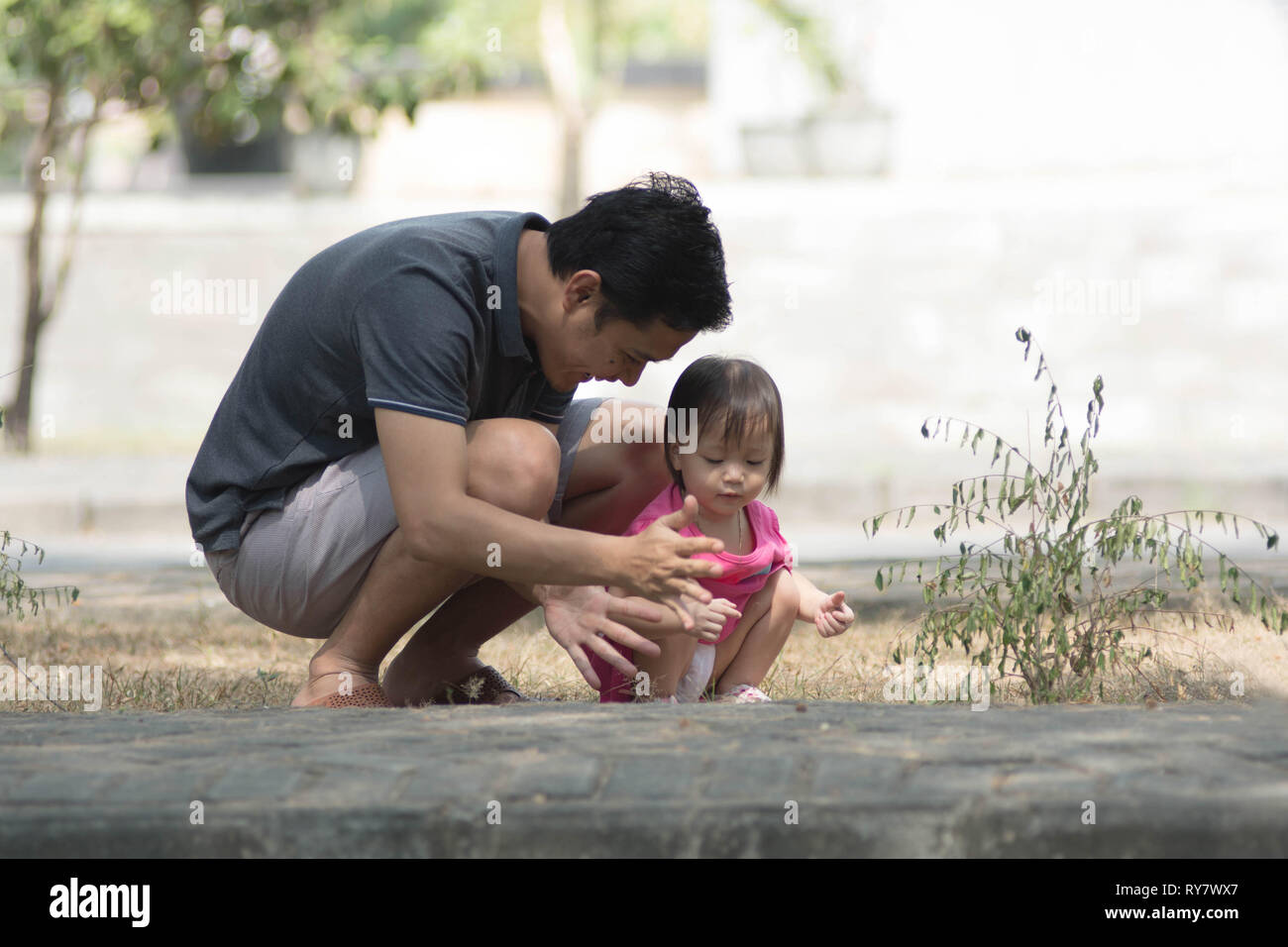 Happy Vatertag - Mann und seine Tochter spielen im Park mit kleinen Mädchen etwas Übersicht zu ihrem Vater an einem sonnigen Tag Stockfoto