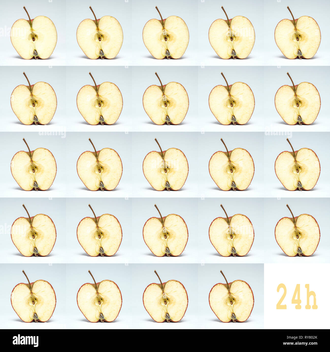 Der Zerfall eines frischen Apfel in 24 Stunden, altern Konzept Stockfoto