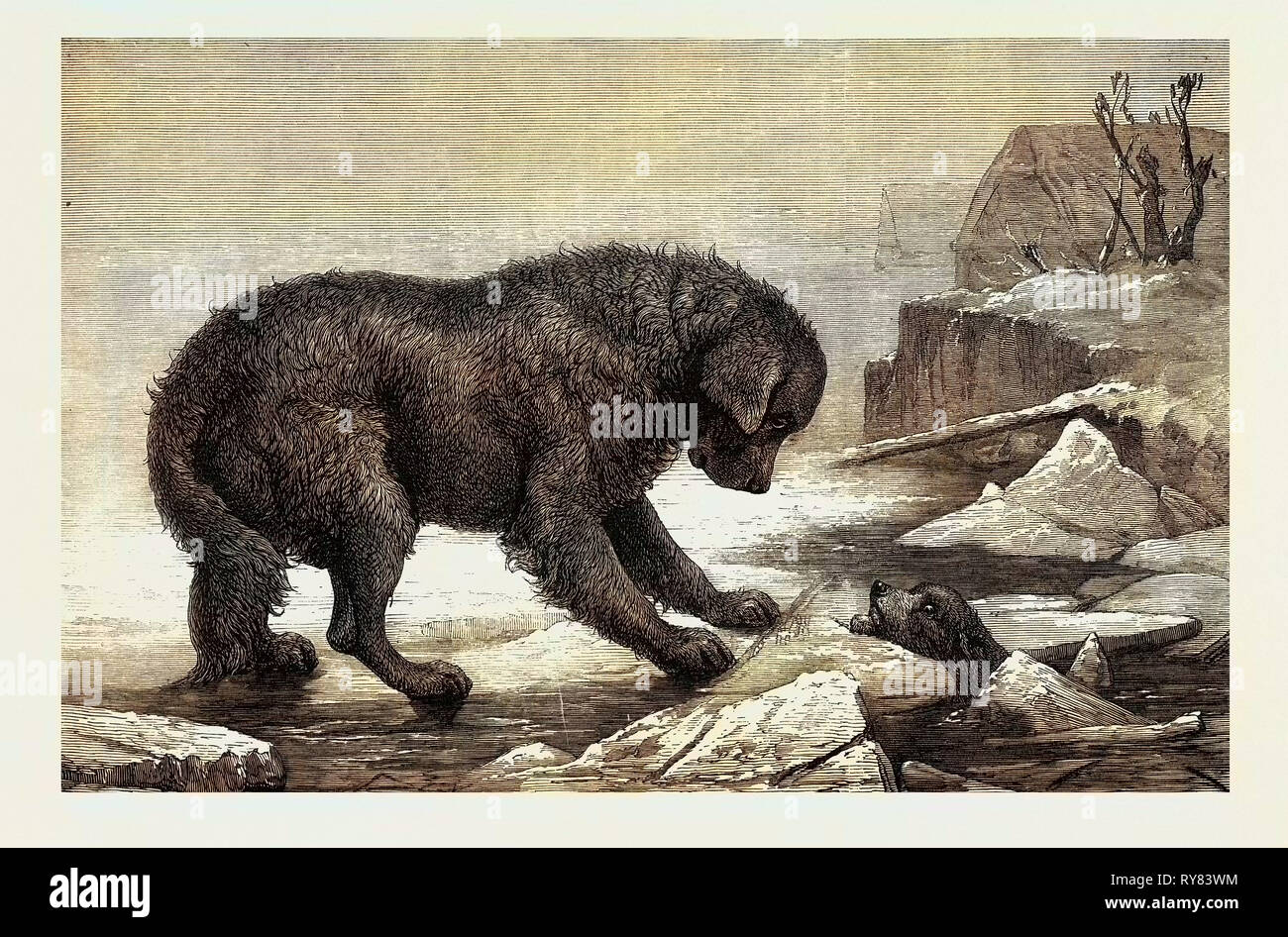 Erebus und Terror Stockfoto
