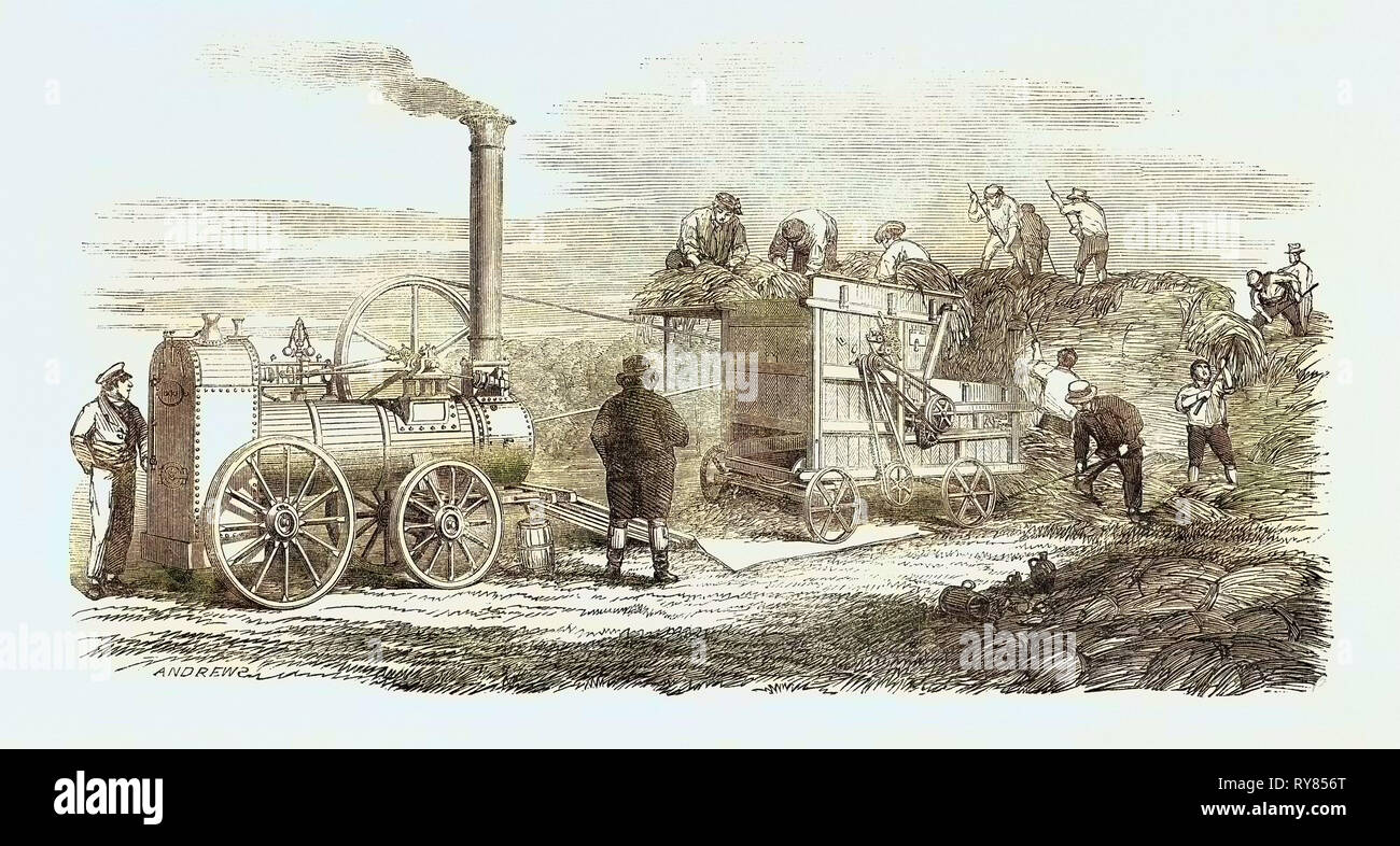Von Hornsby Portable Dampfmaschine und Dreschmaschine, die große Ausstellung Stockfoto