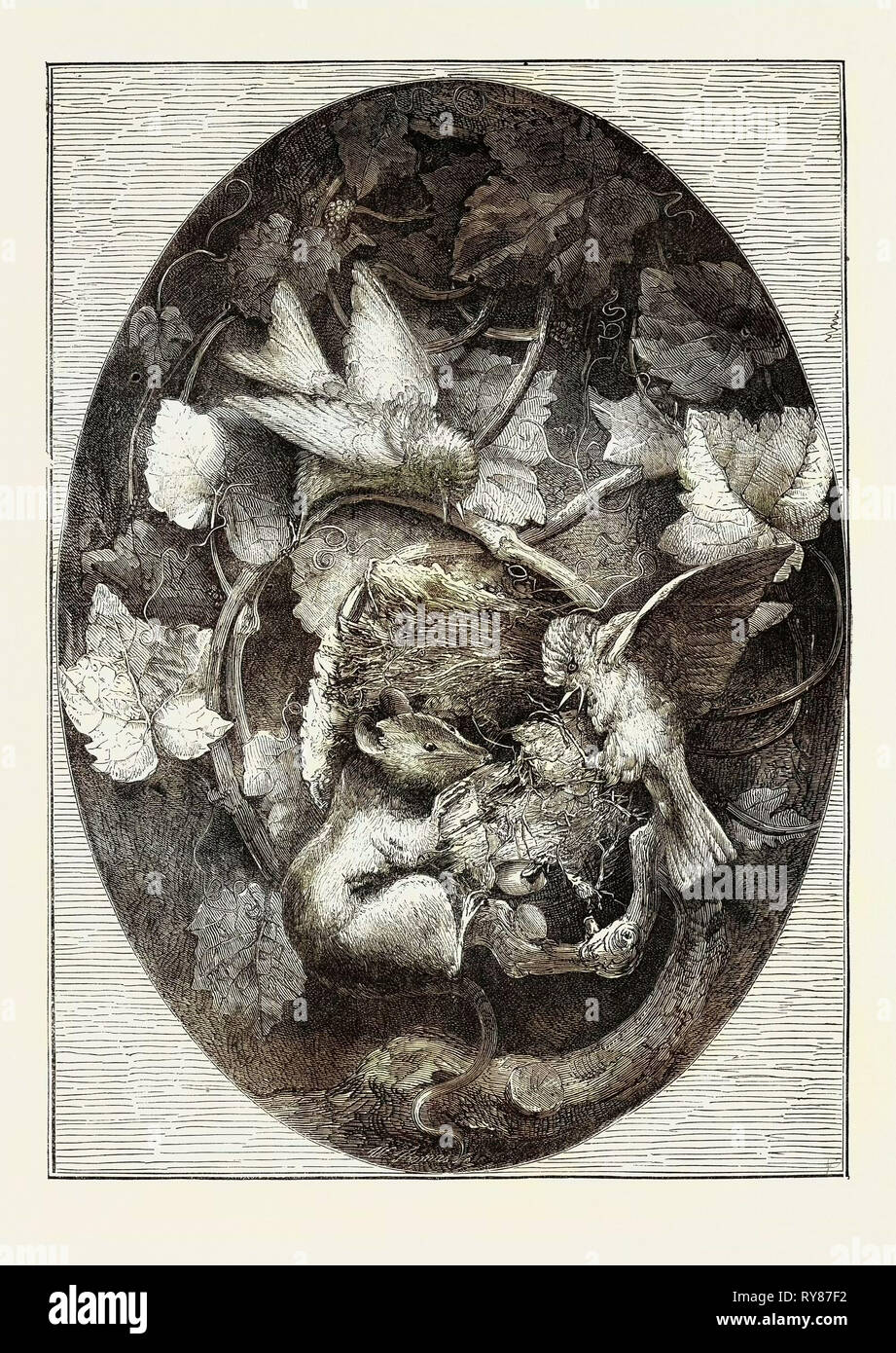 Die internationale Ausstellung: hänflinge verteidigt ihr Nest gegen einen Siebenschläfer, Modellieren in Wachs, 1862 Stockfoto