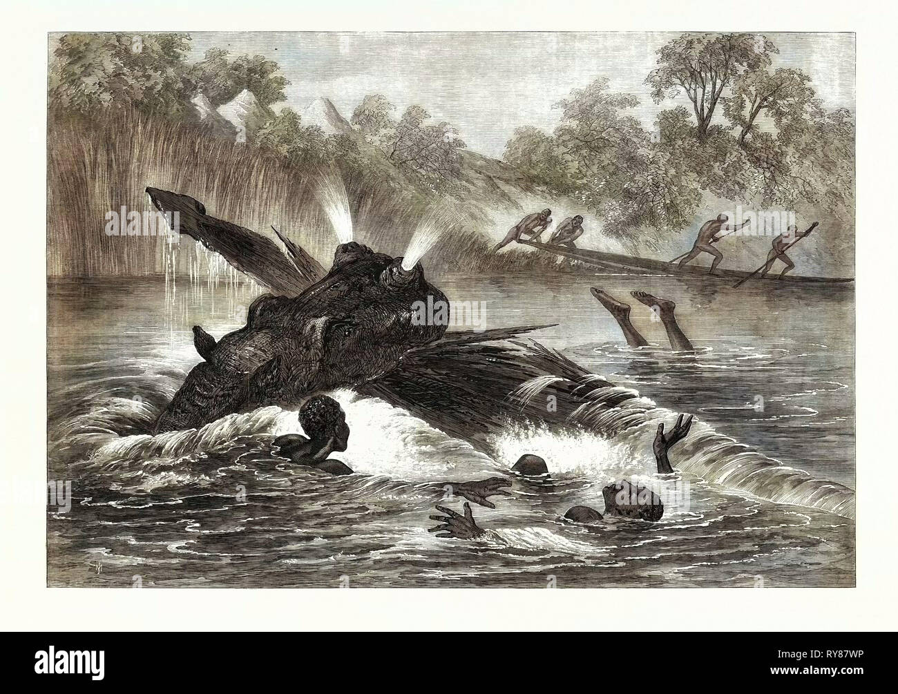 Kanu zerstört durch ein Nilpferd auf dem Fluss Zambesi Südafrika 1866 Stockfoto
