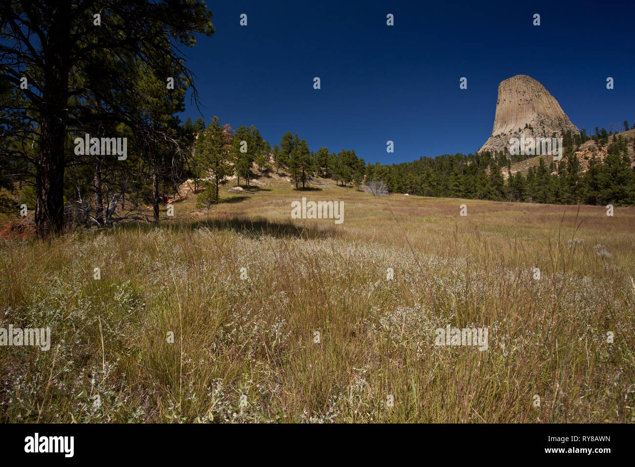 Devil's Tower National Monument, Crook County, Wyoming, USA Stockfoto