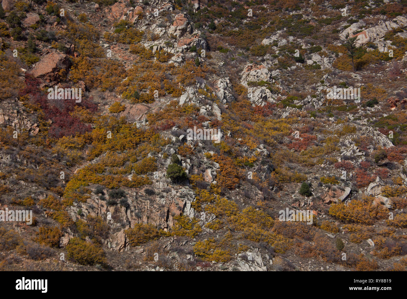 Spanish Fork Canyon, Utah County, Utah, USA Stockfoto