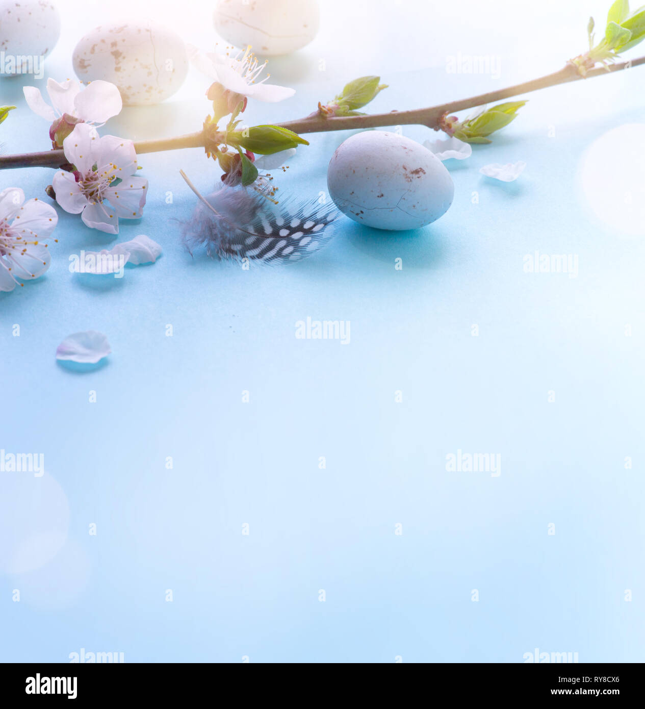 Ostereier mit Blumen auf blauem Hintergrund Stockfoto