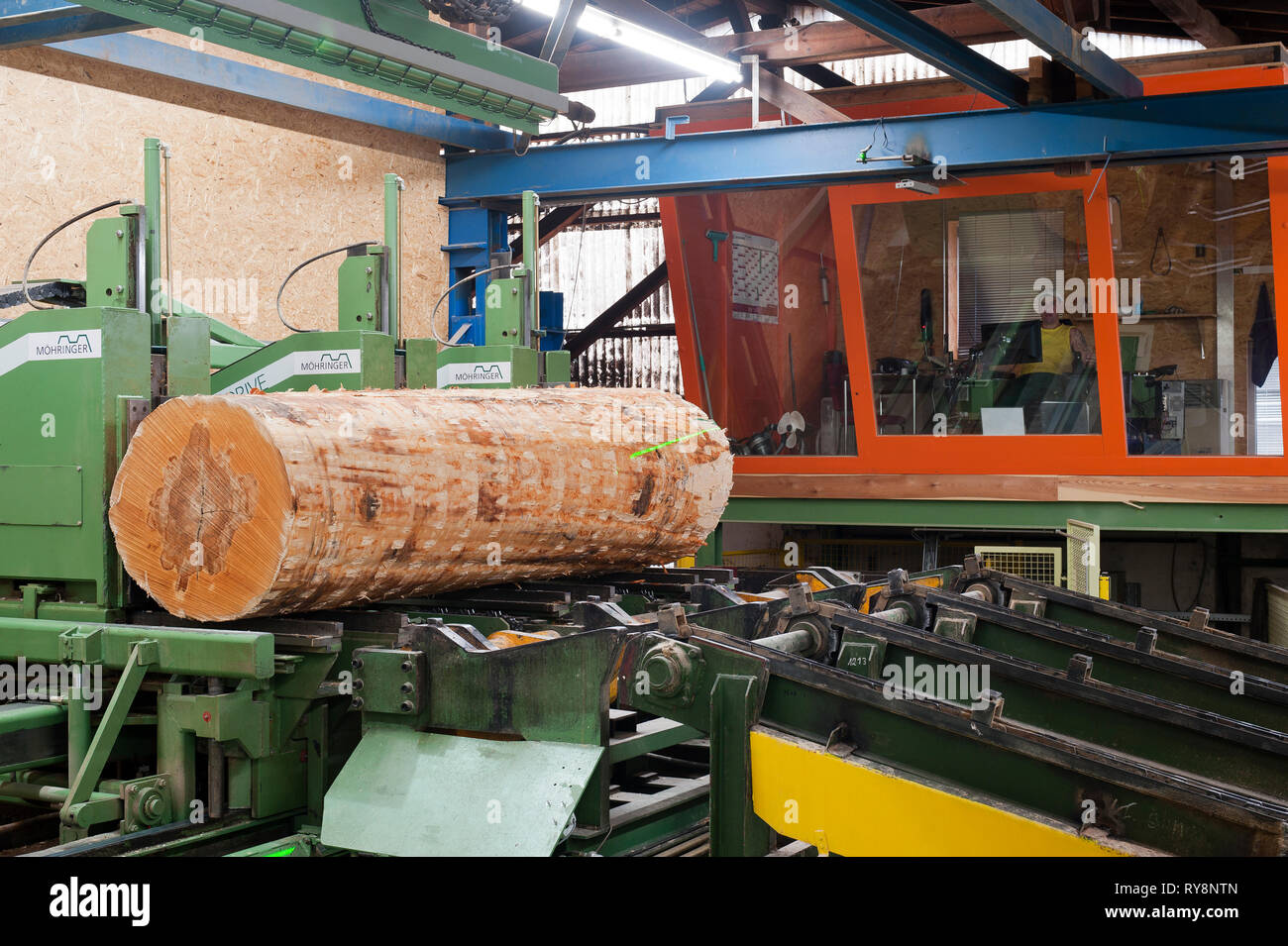 Auf Förderband in Lumber factory Log Stockfoto