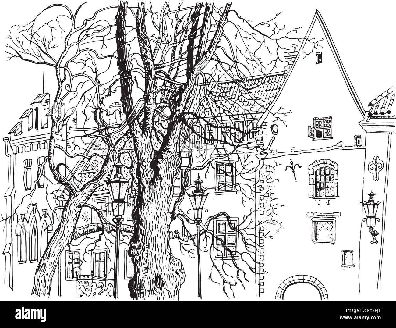 Blick auf die Altstadt von Tallinn. Olevimagi Street. Handgezeichneten Grafikstil Kugelschreiber Abbildung. Historische Architektur, mittelalterlichen Häuser, Bäume. Baltischen Staaten Stock Vektor