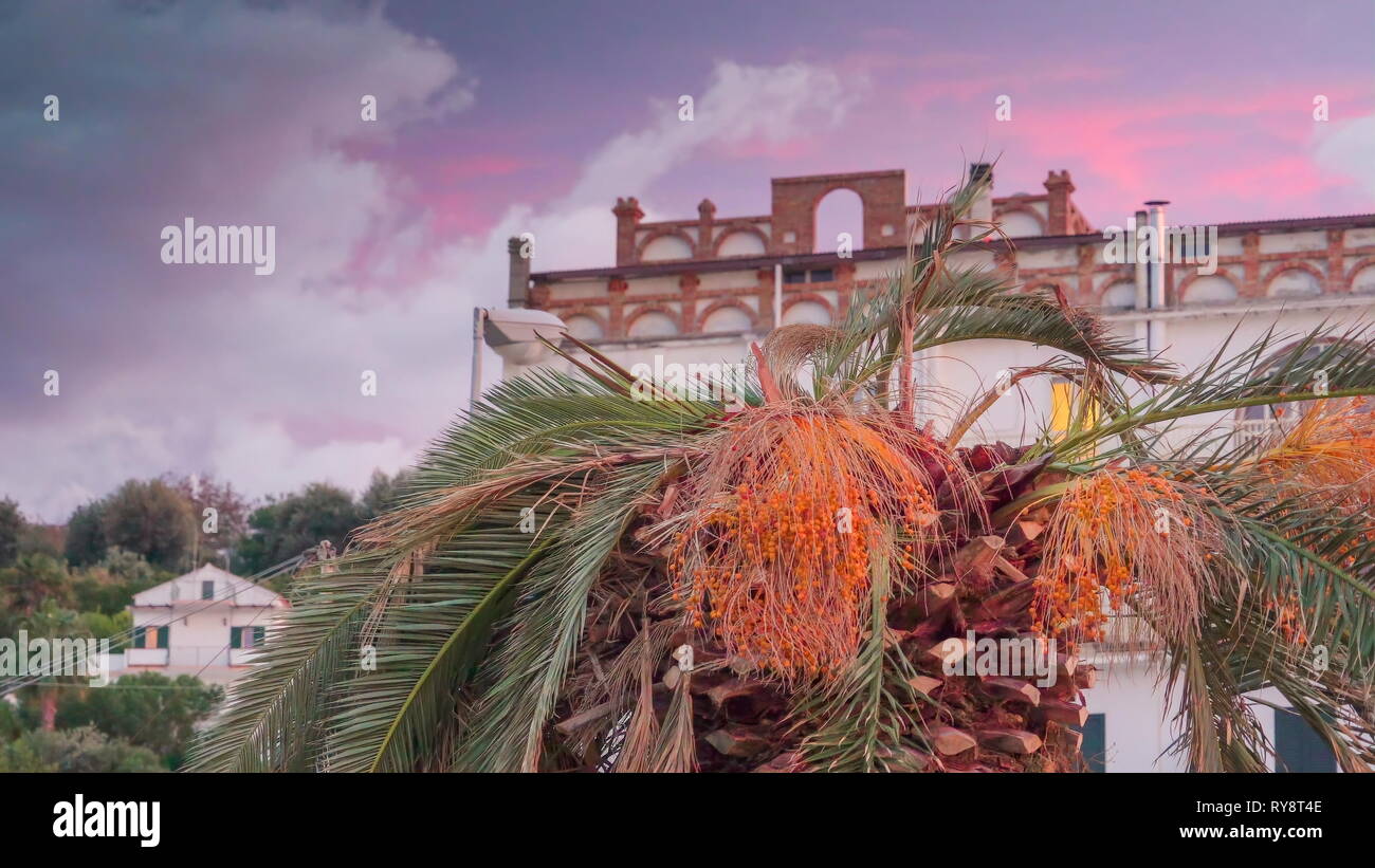 Die Spitze der Palme auf den Straßen von Rodi auf einer Red Sky am Nachmittag in der Stadt in Italien Stockfoto