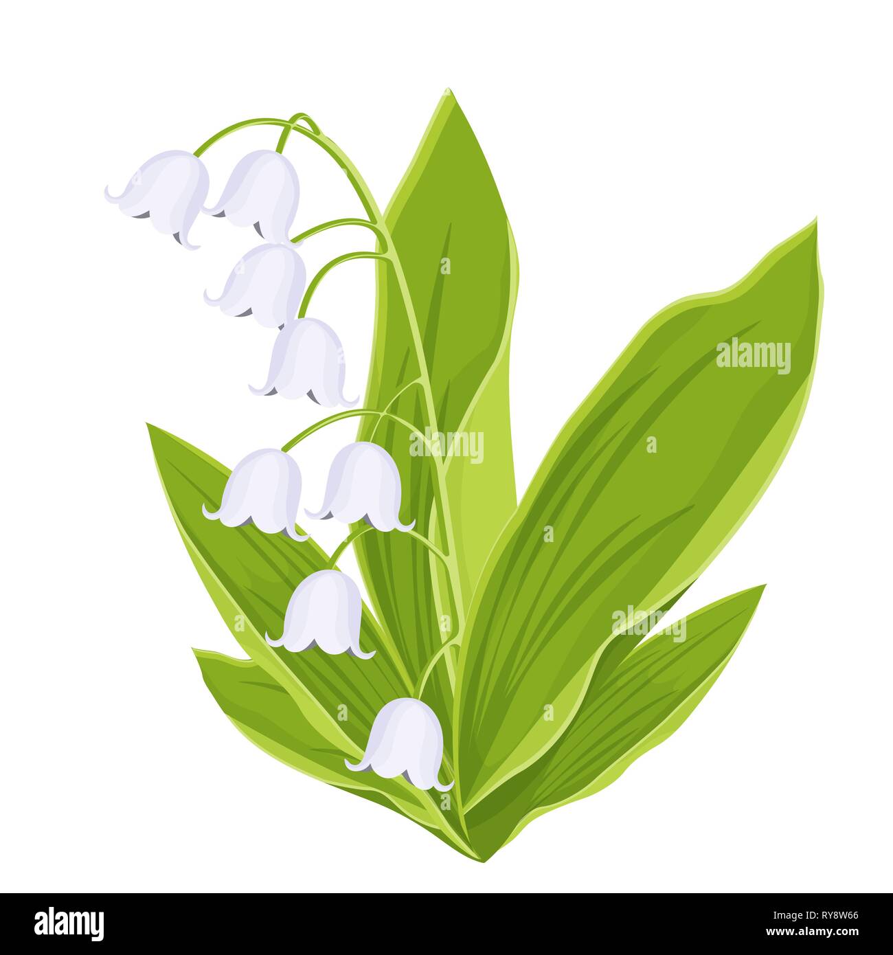 Maiglöckchen, spring Bouquet von zarte Blume, Vector Illustration. Weiße knospen Wald blumen Bluebells, grünen Stengel und Blätter auf w isoliert Stock Vektor