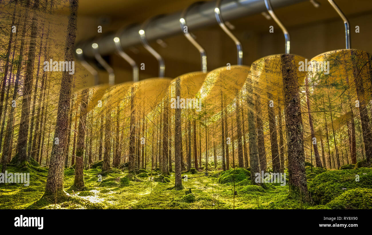 Kleiderbügel mit Kleidern in den Wald. Konzept für organische Kleidung, Schrank und nachhaltige Art und Weise. Stockfoto