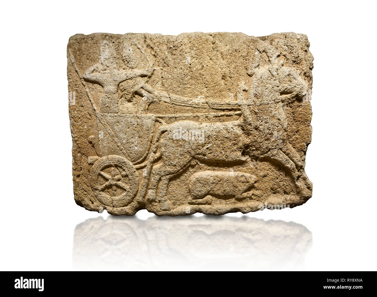 Hethiter monumentale Relief modellierten orthostat stone Panel. Kalkstein, Karkamıs, (Kargamıs), Karkemisch (Karkemish), 900-700 V.CHR. Jagdwagen. Anat Stockfoto