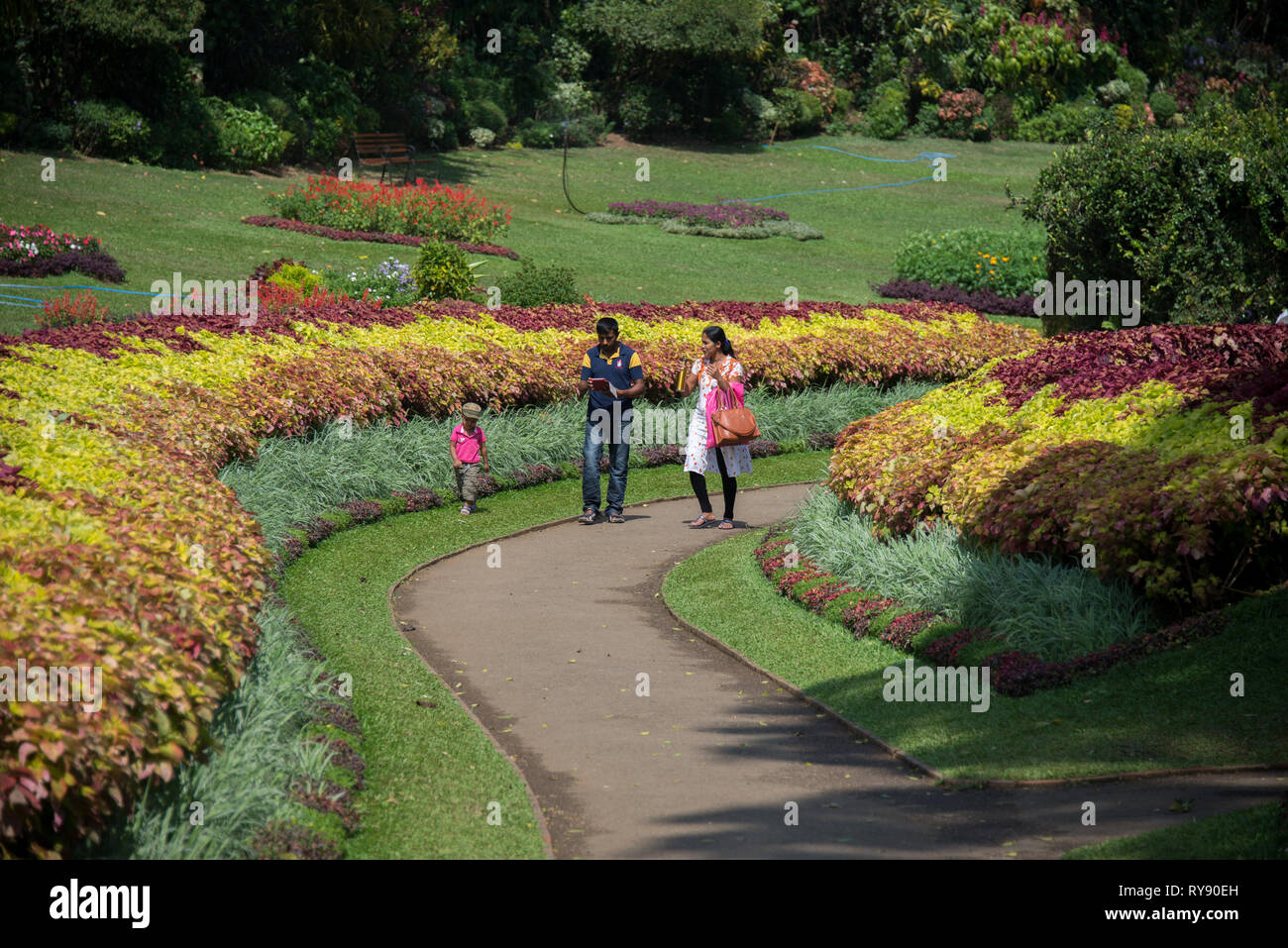 Asien, Sri Lanka, Kandy, den Botanischen Garten von Peradeniya Stockfoto