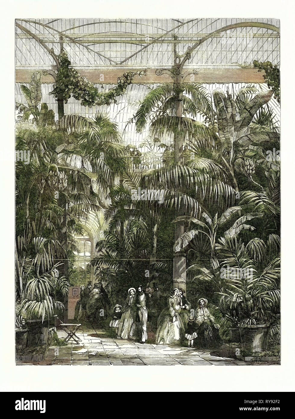 Zentrum des großen Palm-House an den Königlichen Botanischen Gärten von Kew Stockfoto