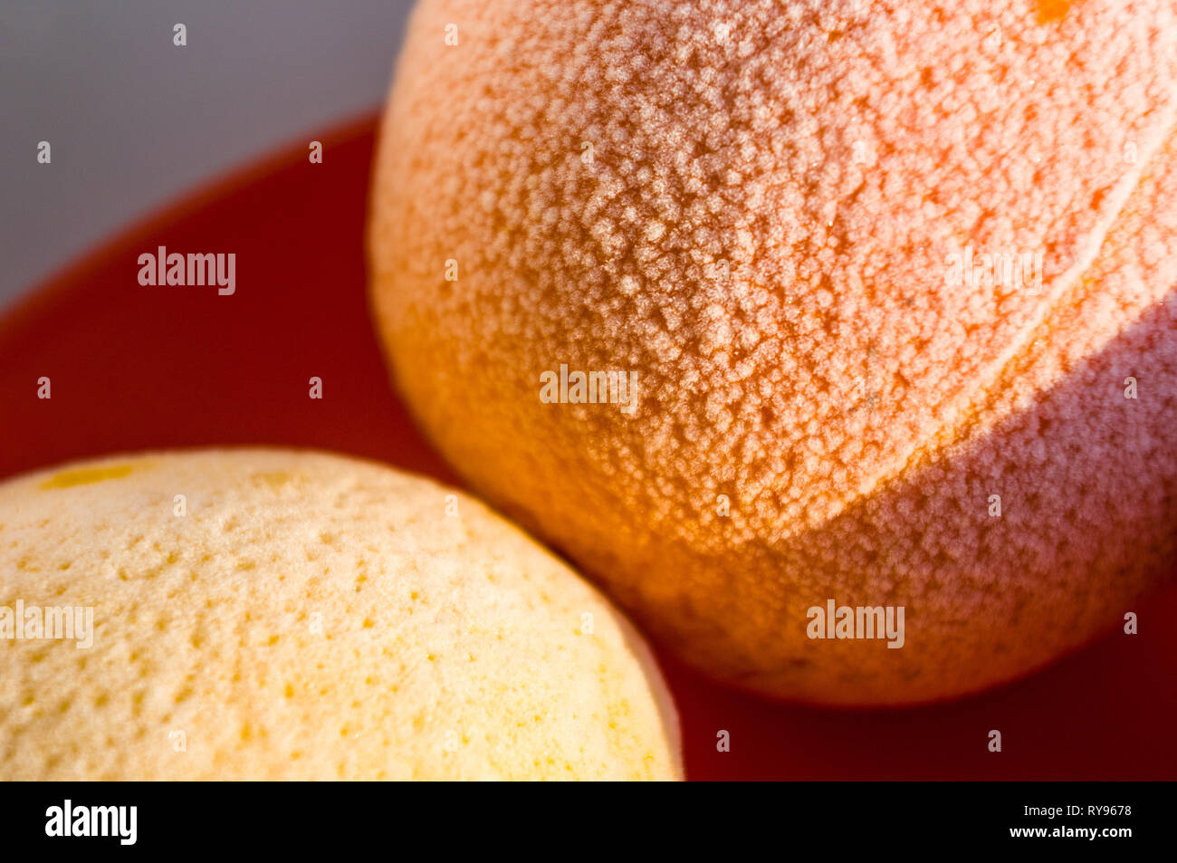 Gefrorene Orangen und Zitronen auf rotem Teller, Frost bedeckt, von der Sonne beschienen Stockfoto