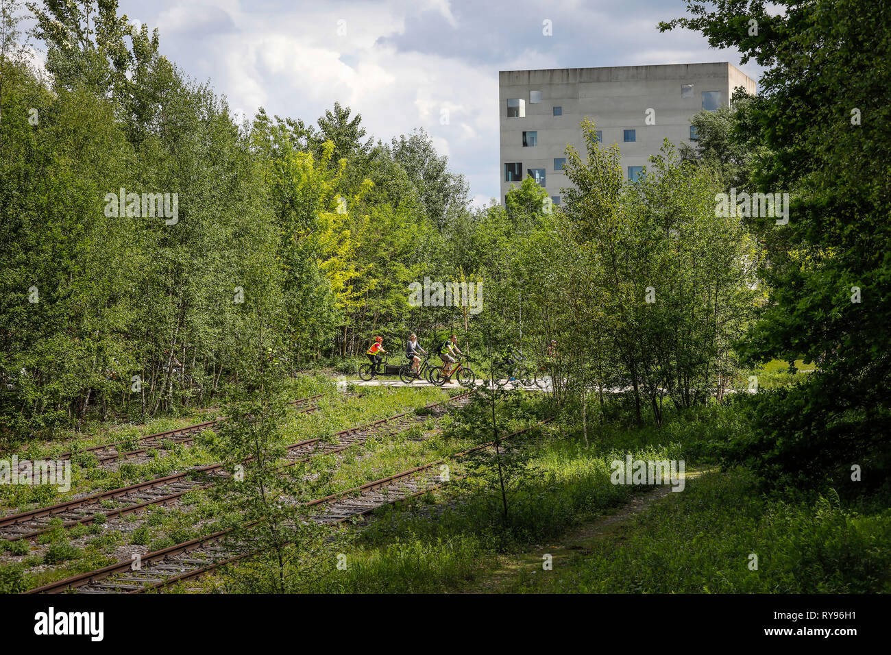 Essen, Ruhrgebiet, Nordrhein-Westfalen, Deutschland - Zollverein Park auf dem Gelände der Zeche Zollverein, im Hintergrund die SANAA-Gebäude. Es Stockfoto