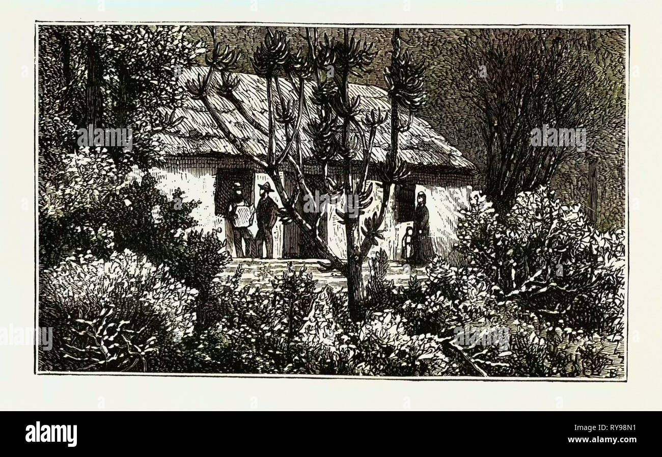 Eine Hütte in den Busch, Cape Colony, Südafrika Stockfoto