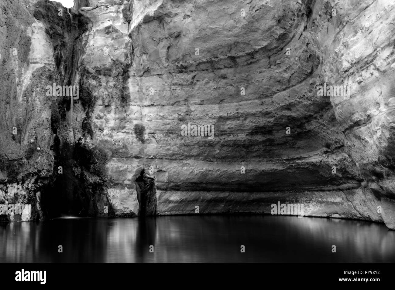 Schwarze und Weiße Lange exepuser Wasser unten in der Schlucht, ein Ovdat Naturschutzgebiet, Israel Stockfoto