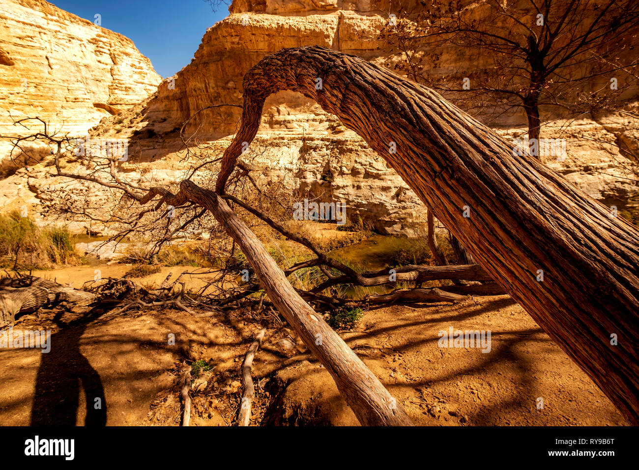 Querformat von Ein Ovdat Naturschutzgebiet, Israel Stockfoto