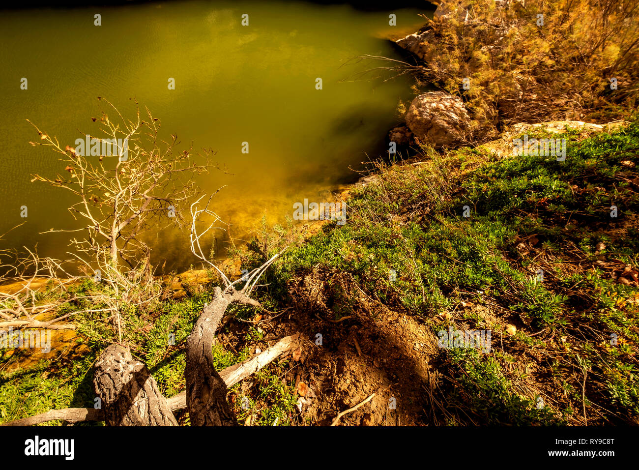 Desert View ein Ovdat Naturschutzgebiet, Israel Stockfoto