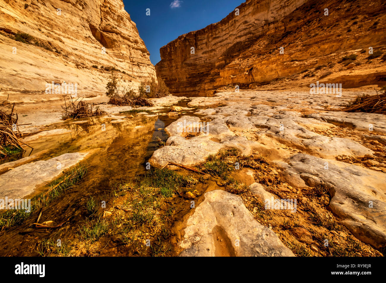 Ein Ovdat Naturschutzgebiet, Israel Stockfoto