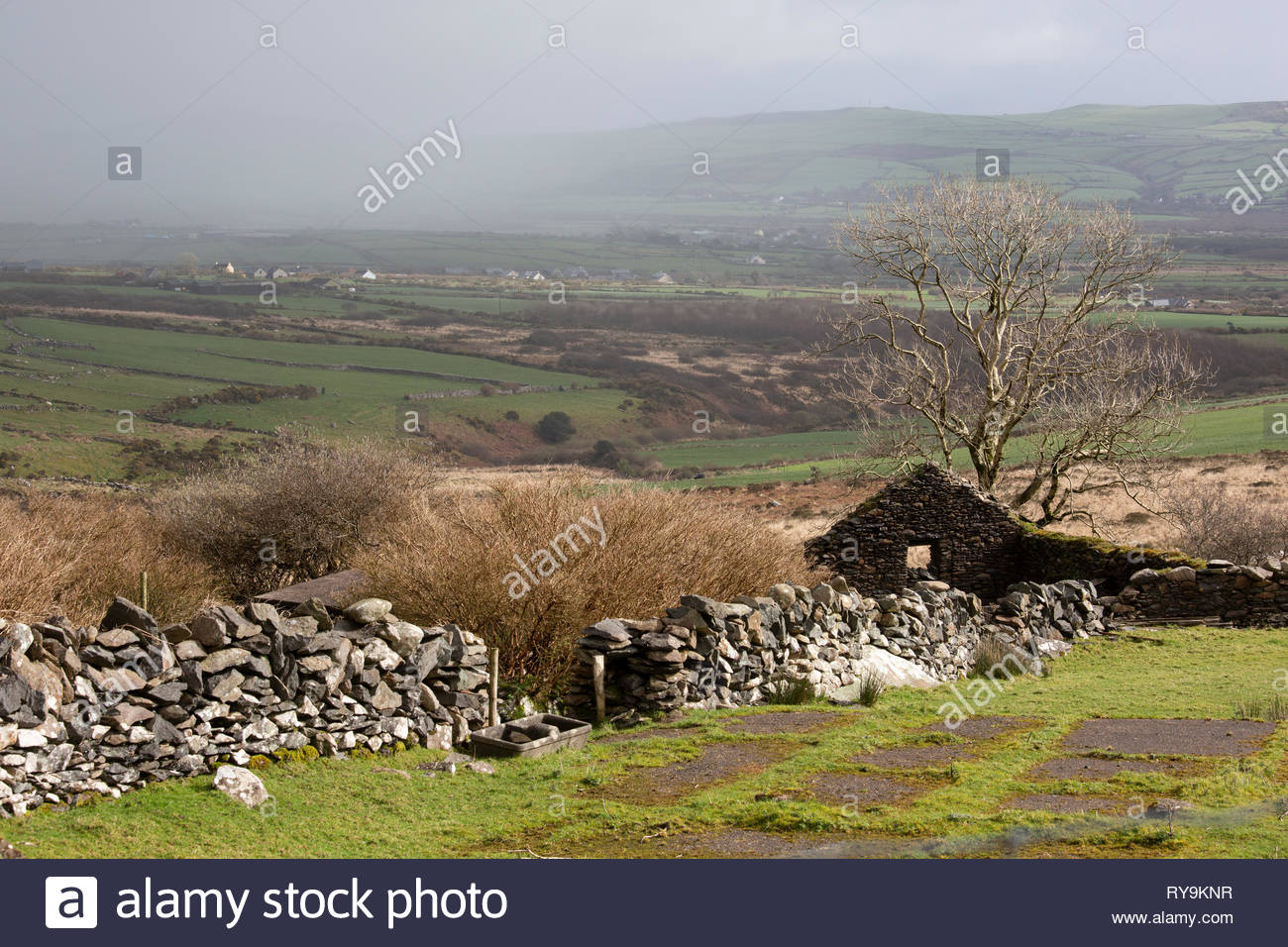 Die Reste eines alten Hauses und eine Mauer aus Stein in Dingle Grafschaft Kerry auf einem hellen März Tag. Stockfoto
