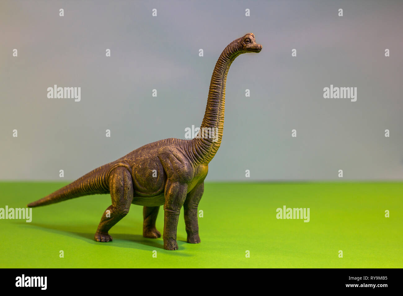 Spielzeug Dinosaurier in einem Spielzeug Wald. wie ein echter T-Rex auf einem hellen Studio Hintergrund mit Holz- bäumen. Eco Spielzeug. Stockfoto