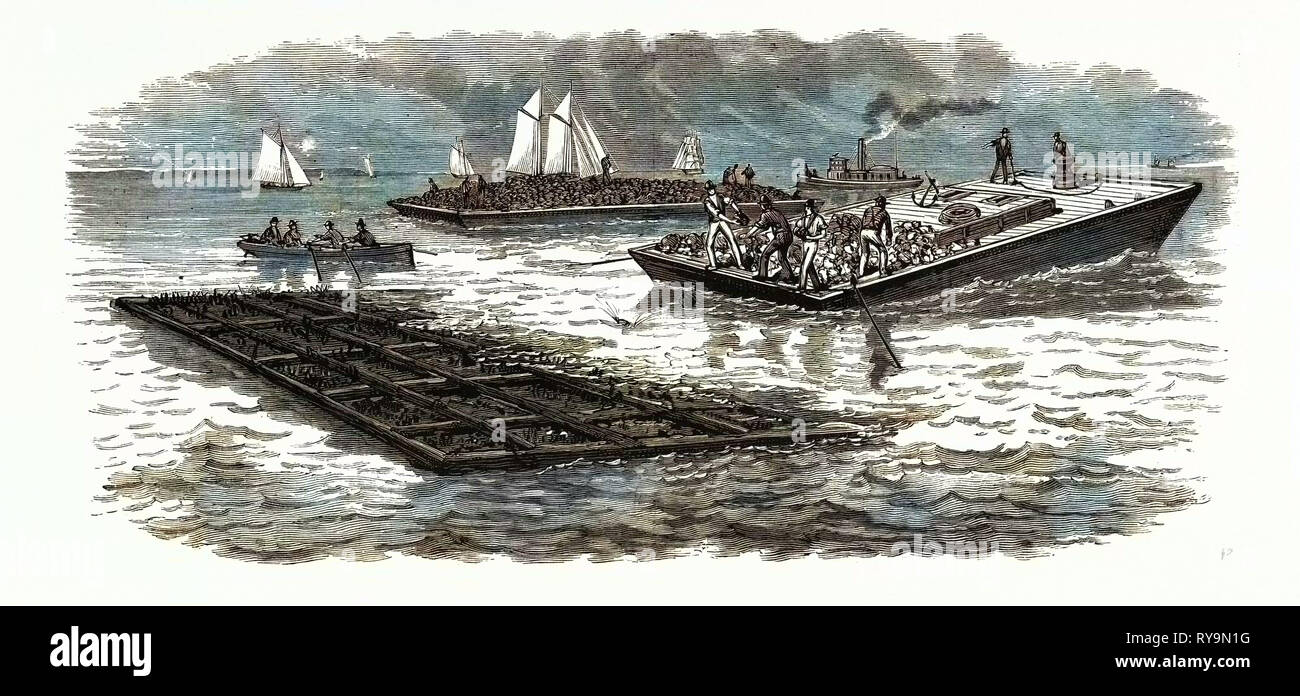 South Carolina: Die South 1880: Bau von Kaianlagen für die Verbesserung von Charleston Harbor, USA, Gravur 1880 1881 Stockfoto