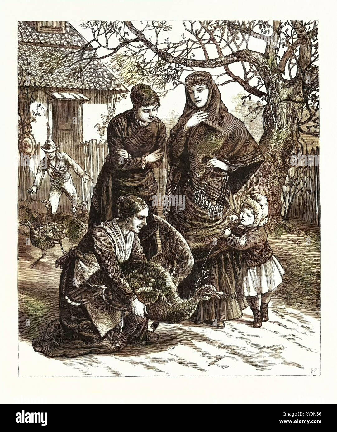 Die Auswahl der Thanksgiving Truthahn, Gravur 1880 1881 Stockfoto