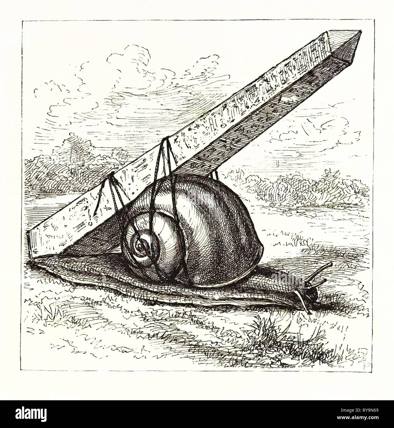 Rapid Transit und der Obelisk., Gravur 1880 1881 Stockfoto