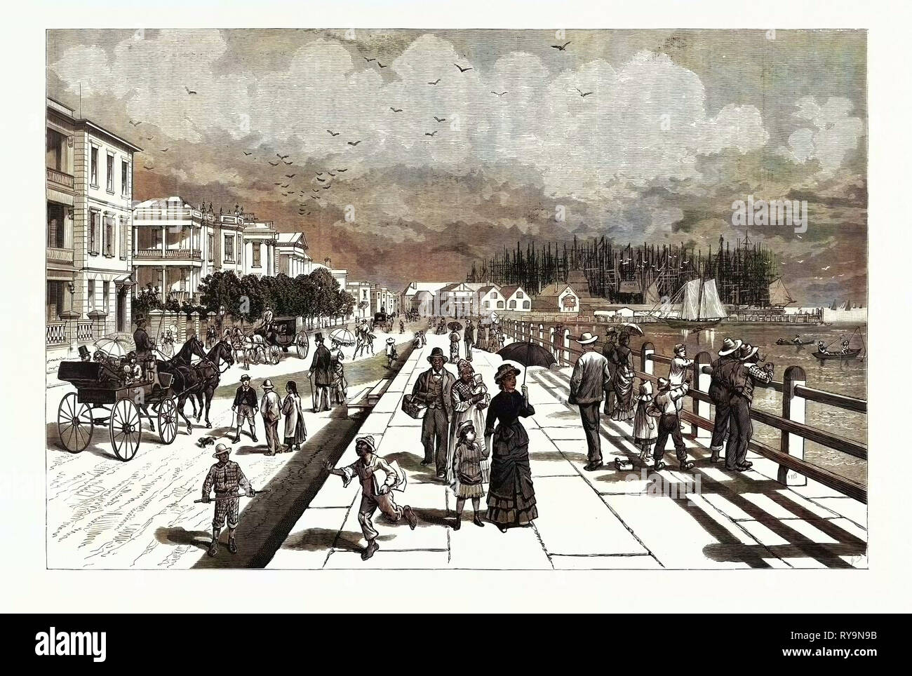 South Carolina: Die South 1880 East Batterie, die Promenade am südlichen Ende der East Bay Street. Charleston. Usa, Gravur 1880 1881 Stockfoto