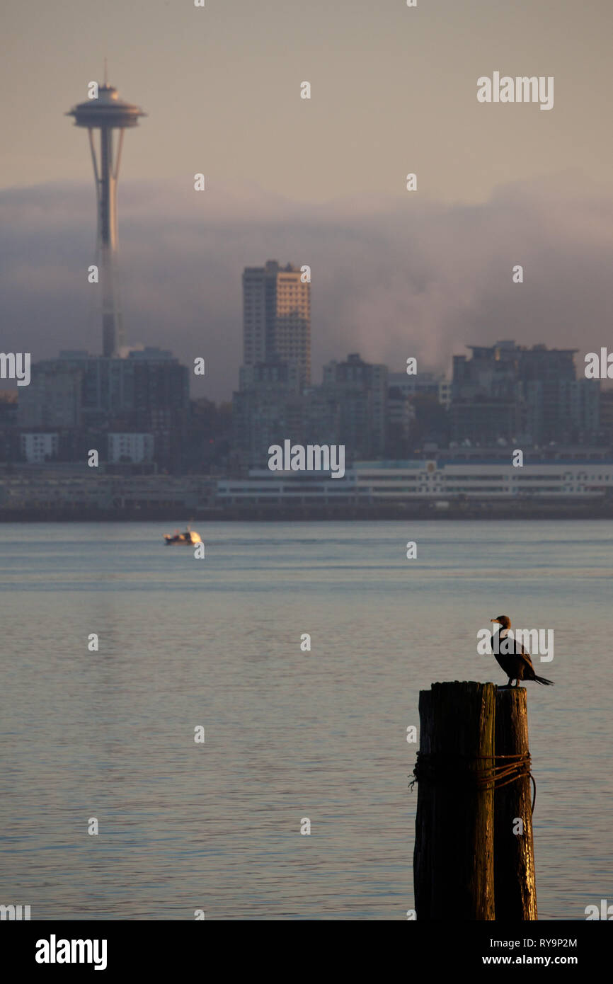 Seattle, King County, Washington, USA Stockfoto