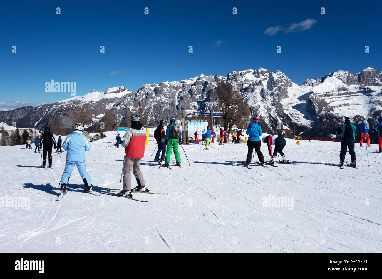 Skifahren Italien - Skifahrer Skifahren auf den Pisten von Madonna di Campiglio, Dolomiten, Italien Europa Stockfoto